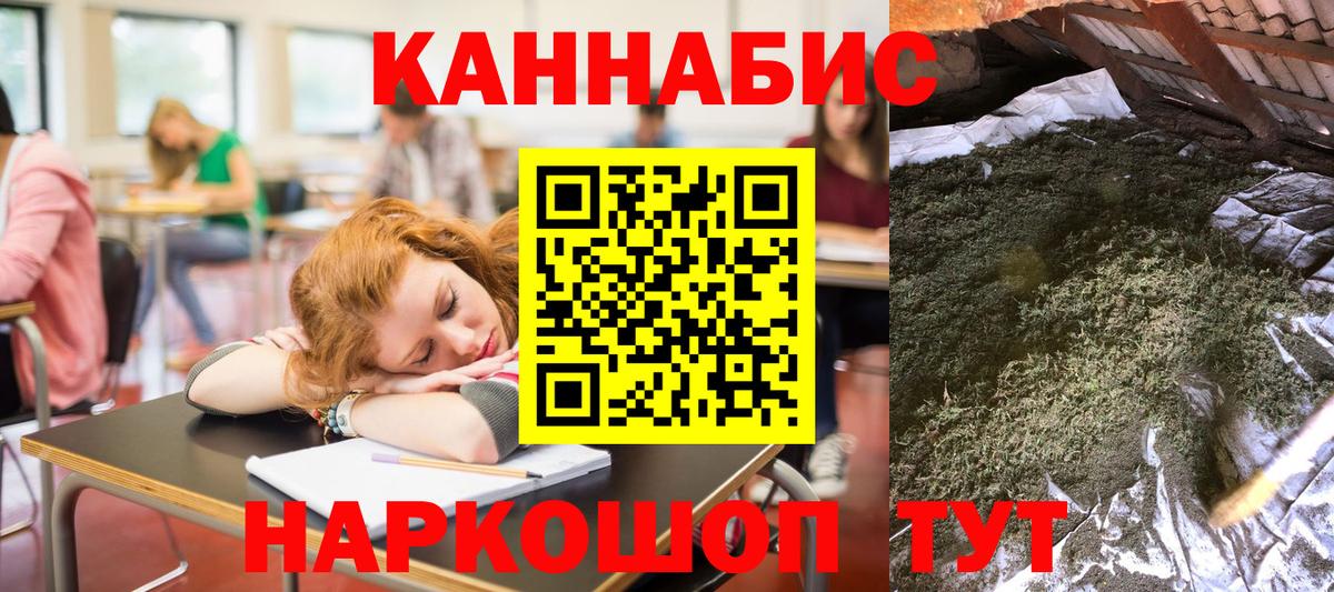 МАРИХУАНА сатива Выборг